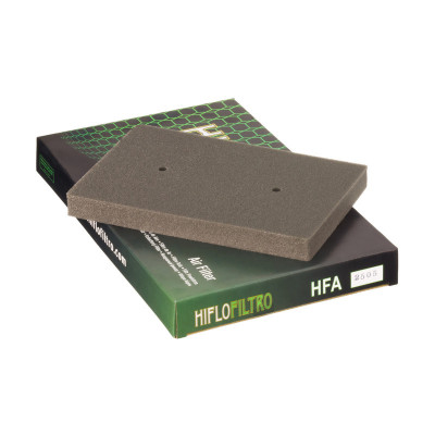 Φίλτρο αέρα HIFLO HFA2505